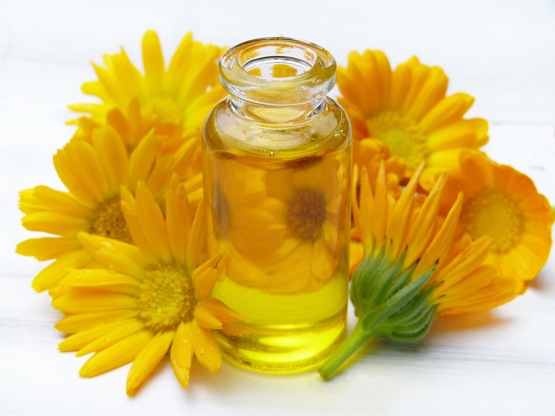 Arnica Oil